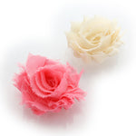 Coral Pink/Cream Shabby Rose Baby Hair Flower Clip Pair | My Lello - 11